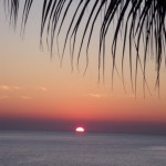 DSCF2519