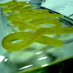Gummy Worms, olive oil gel, fish lure molds
