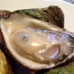 Raspberry Point Oyster