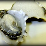 Kumamoto Oysters, Mignonette Foam